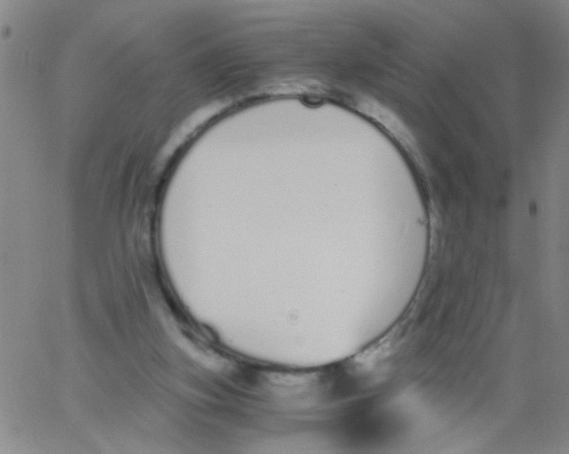 X0000062670155200601181909