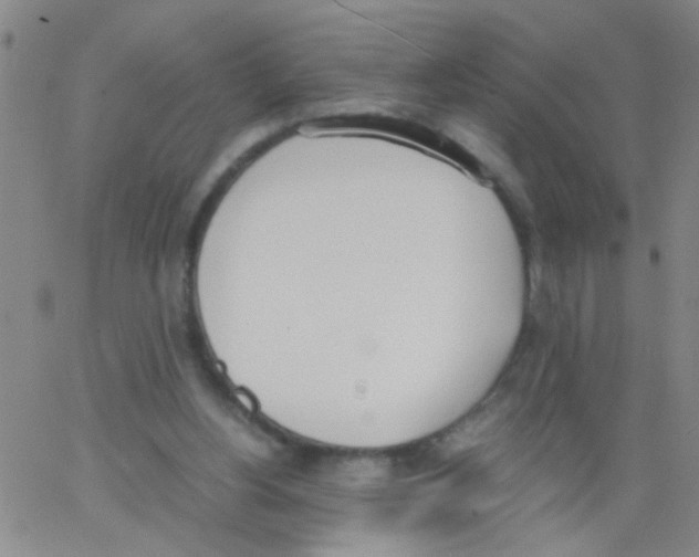 X0000062670156200601181909