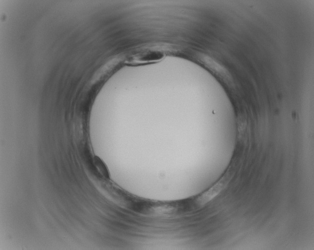 X0000062670158200601181909