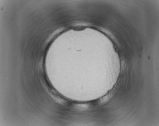 X0000062670159200601181909