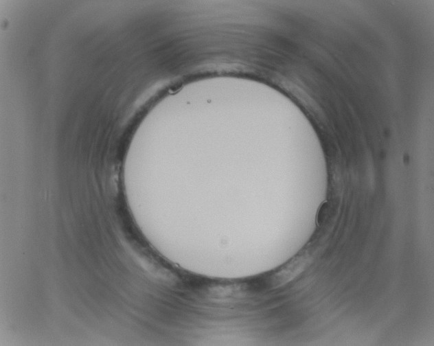 X0000062670160200601181909