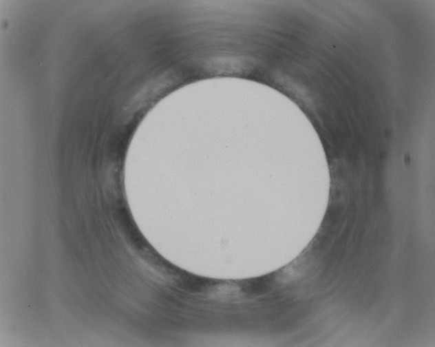 X0000062670162200601181909