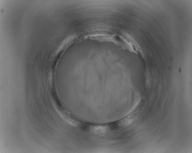 X0000062670163200601181909