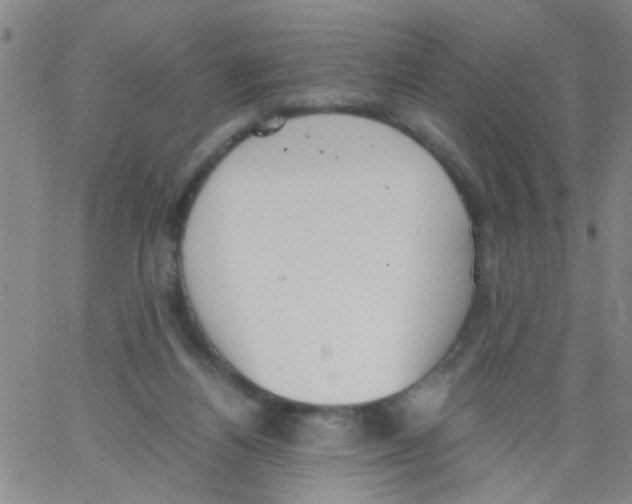 X0000062670164200601181909