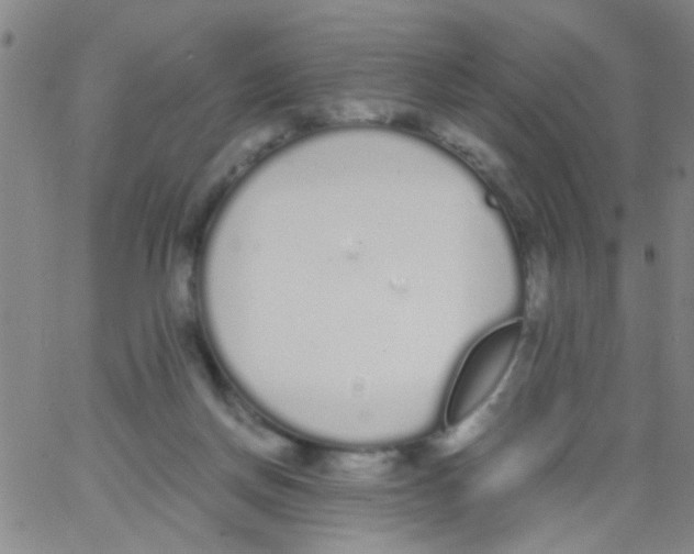 X0000062670166200601181909