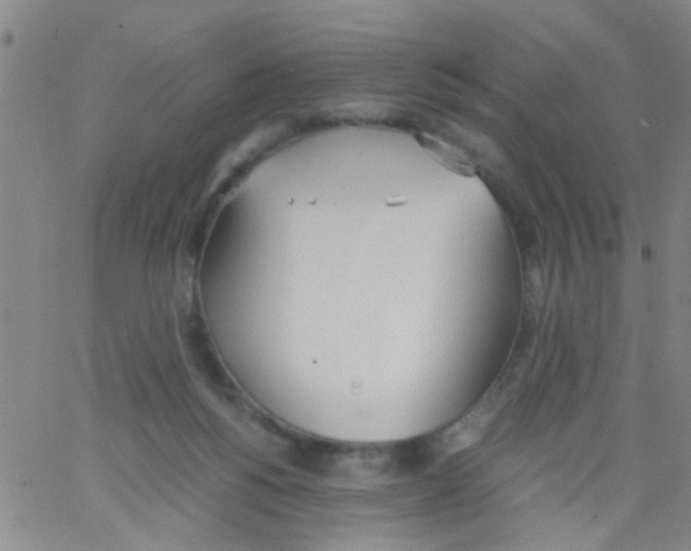 X0000062670168200601181909