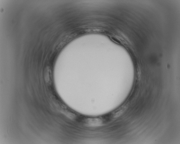 X0000062670169200601181909