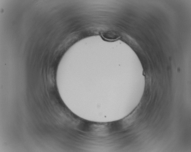 X0000062670170200601181909