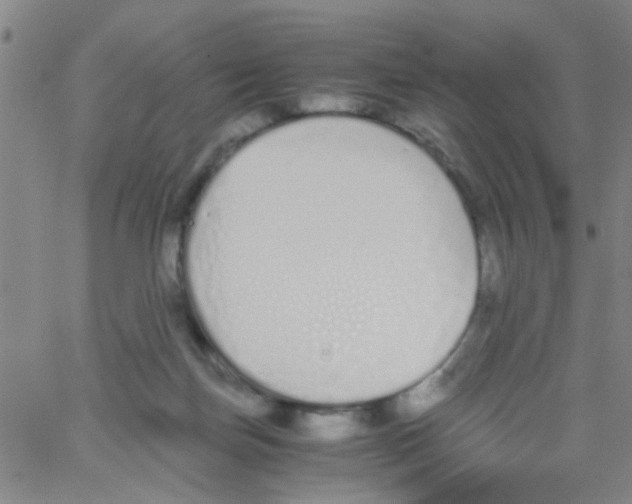 X0000062670171200601181909