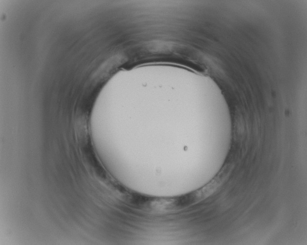 X0000062670172200601181909