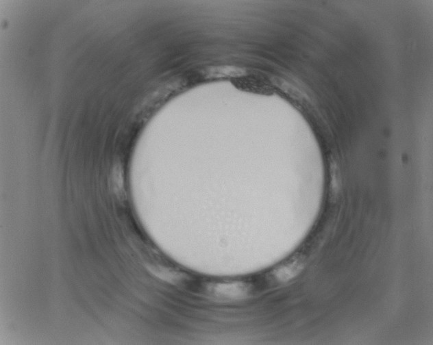 X0000062670173200601181909