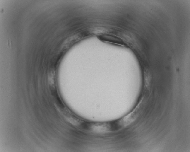 X0000062670175200601181909