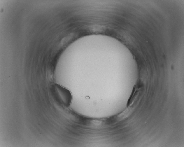 X0000062670176200601181909