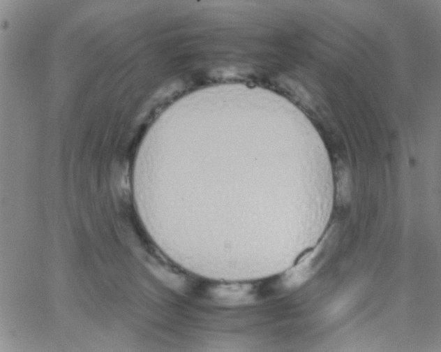 X0000062670179200601181909