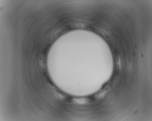 X0000062670181200601181909