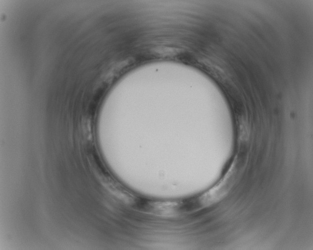 X0000062670182200601181909