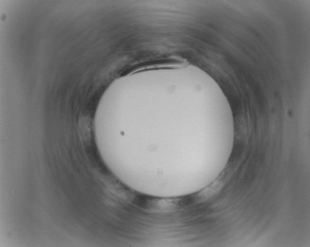 X0000062670184200601181909