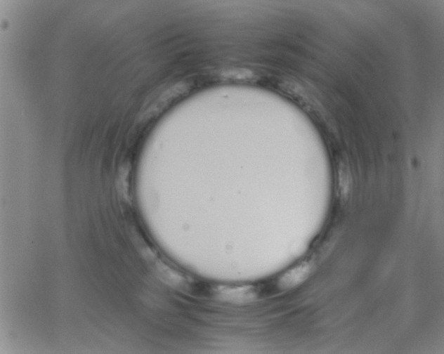 X0000062670185200601181909