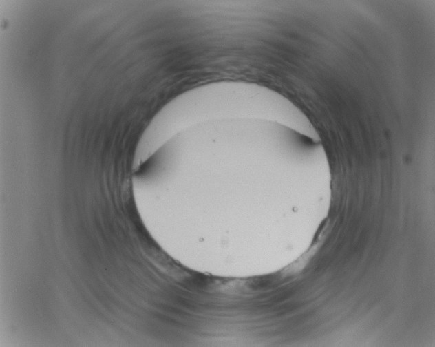 X0000062670186200601181910