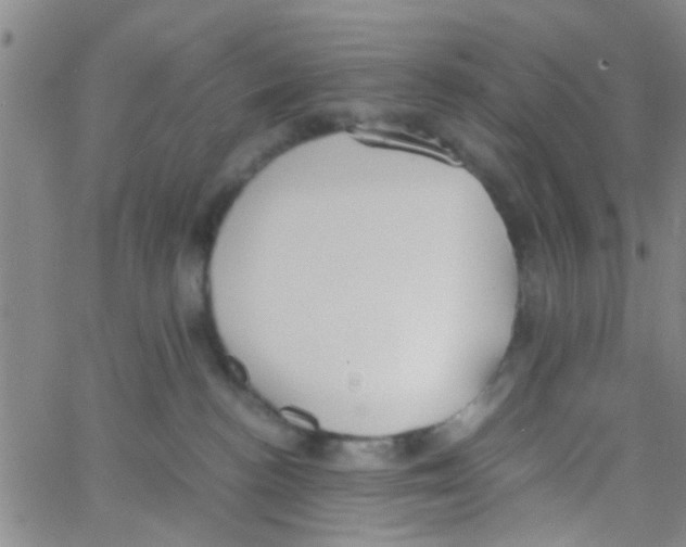 X0000062670188200601181910