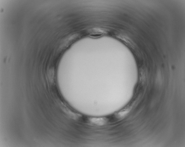 X0000062670189200601181910