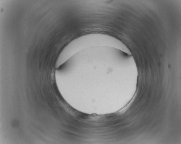 X0000062670190200601181910