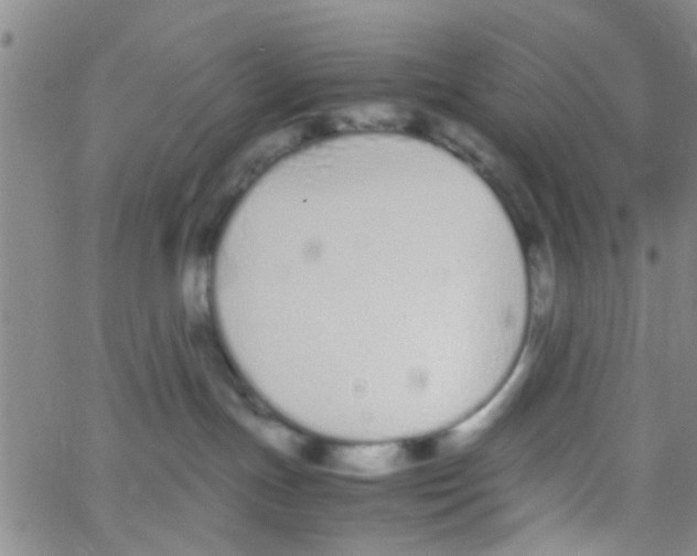 X0000062670191200601181910