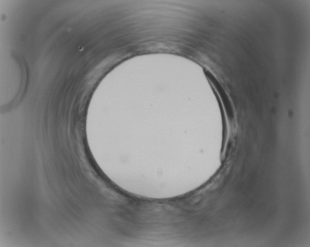 X0000062670193200601181909