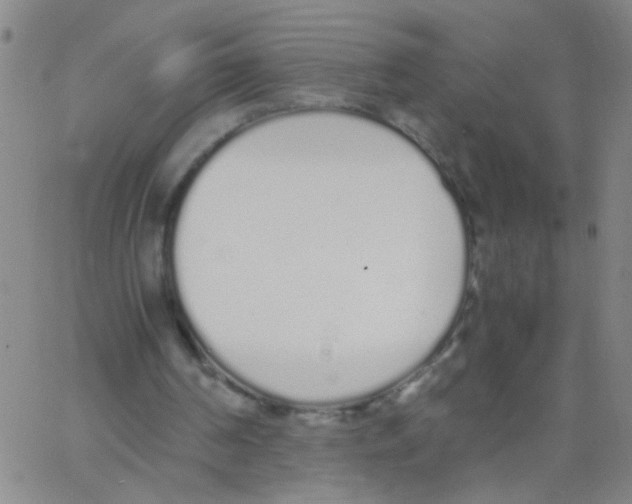 X0000062670194200601181909