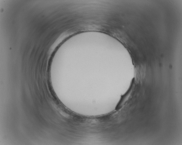 X0000062670195200601181909