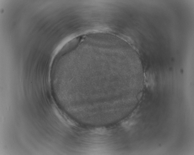 X0000062670196200601181909