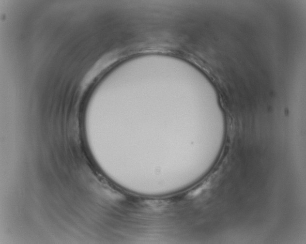 X0000062670198200601181909