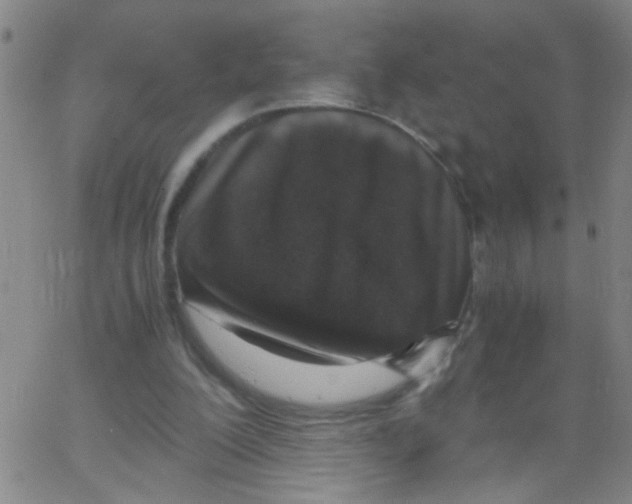 X0000062670200200601181909