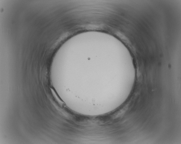 X0000062670201200601181909