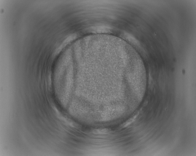 X0000062670202200601181909