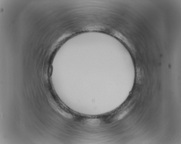 X0000062670203200601181909