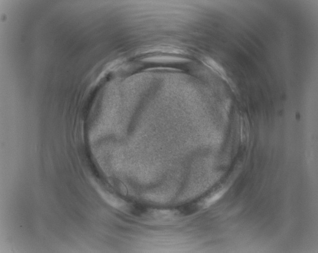 X0000062670205200601181909