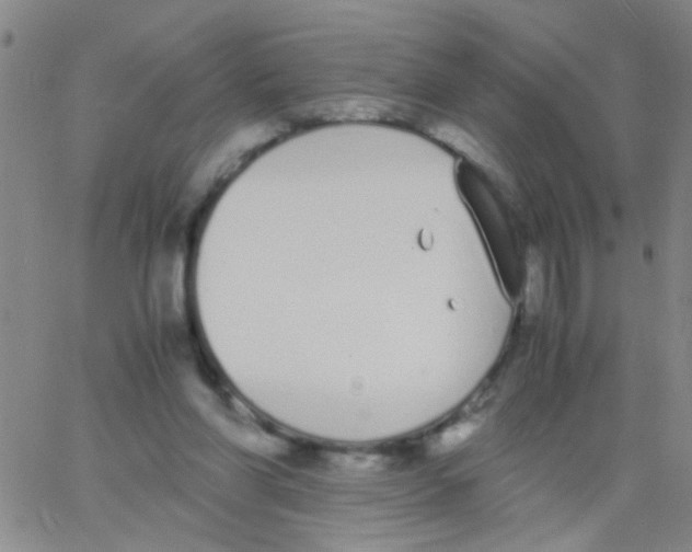 X0000062670206200601181909