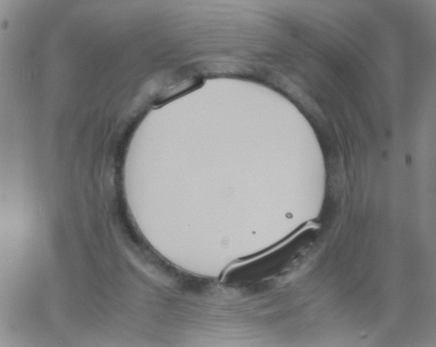 X0000062670207200601181909