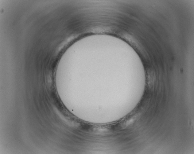 X0000062670208200601181909