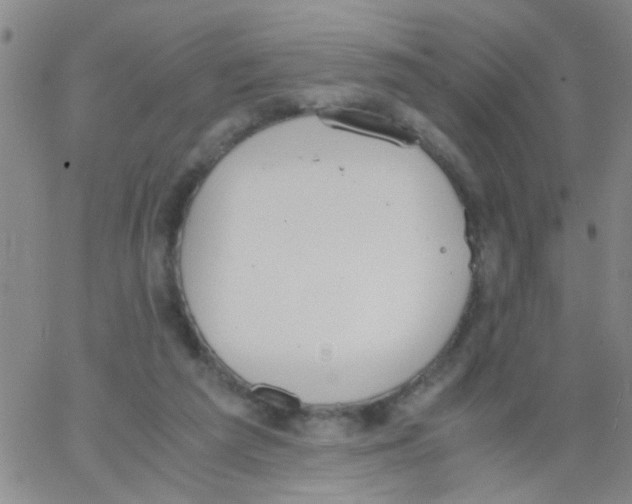 X0000062670209200601181909