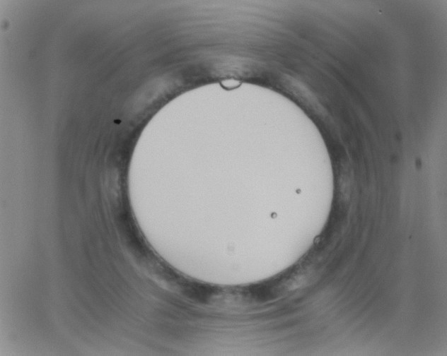 X0000062670211200601181909