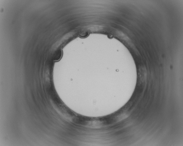 X0000062670212200601181909