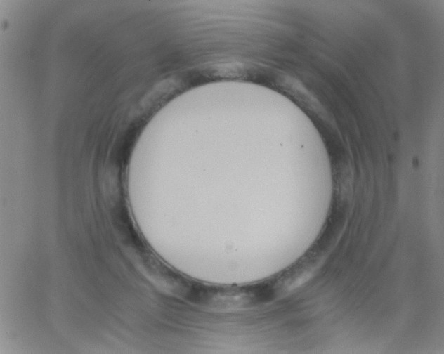 X0000062670213200601181908