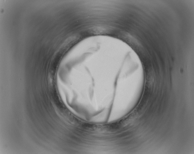 X0000062670214200601181908