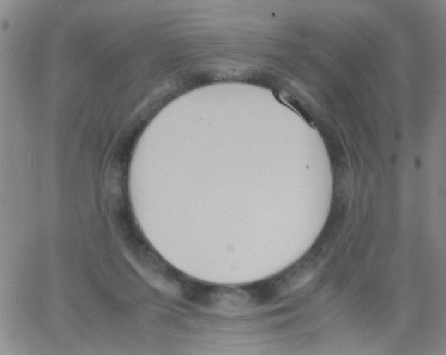 X0000062670215200601181908