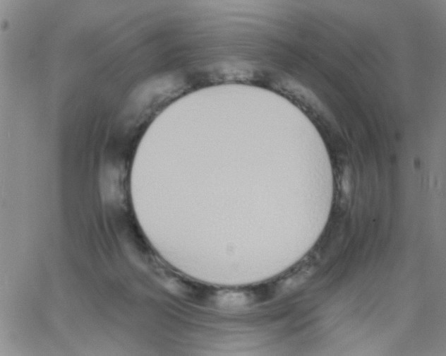 X0000062670218200601181908