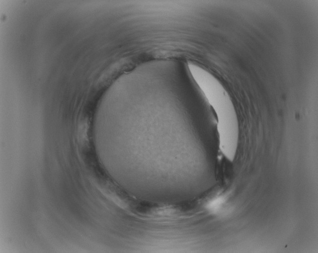 X0000062670219200601181908