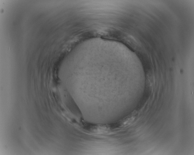 X0000062670223200601181908