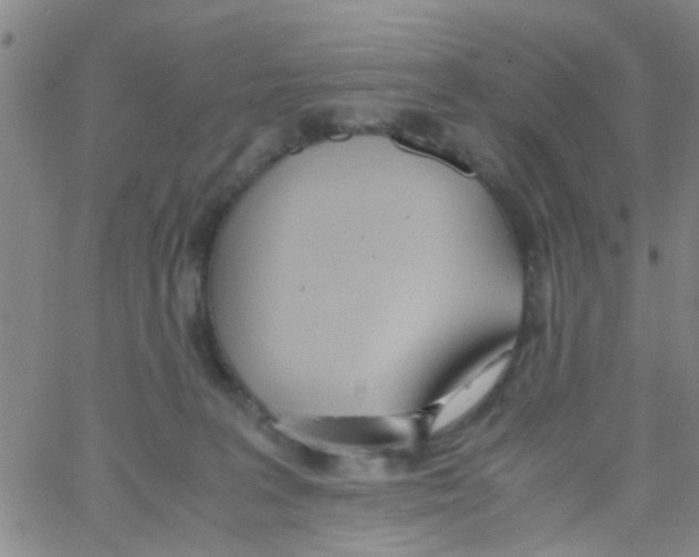 X0000062670227200601181908